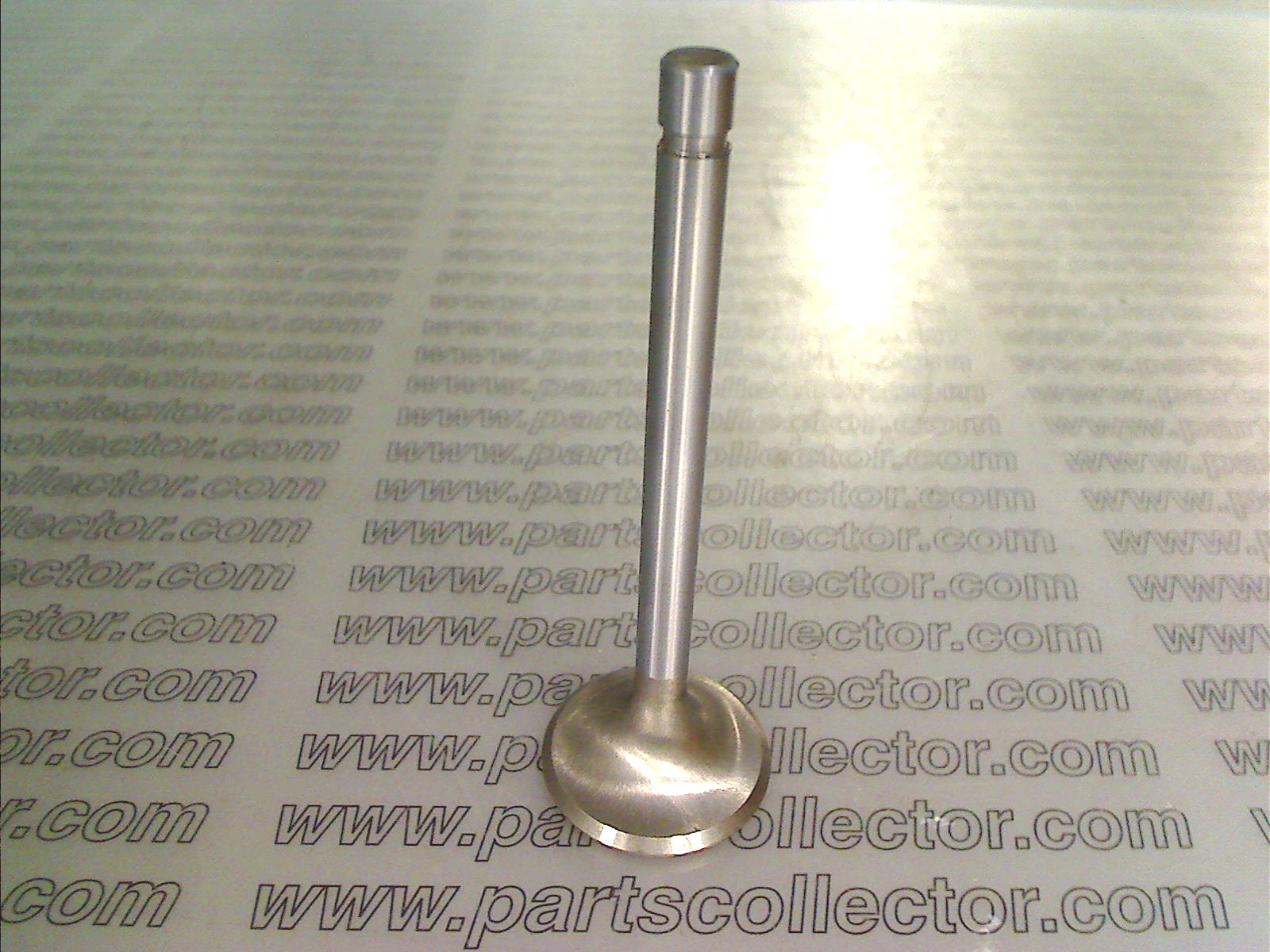 EXHAUST VALVE